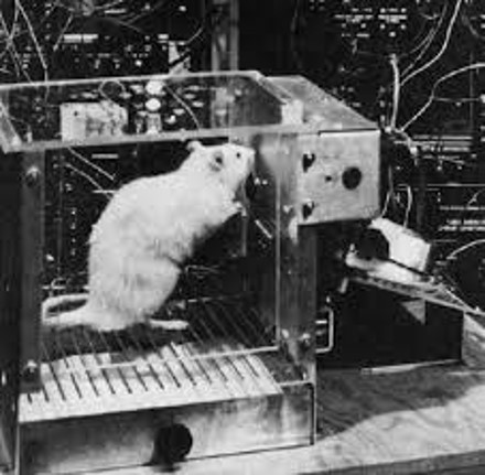 스키너 박스와 조작적 조건 형성 원리