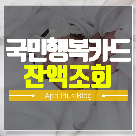 국민행복카드 잔액조회