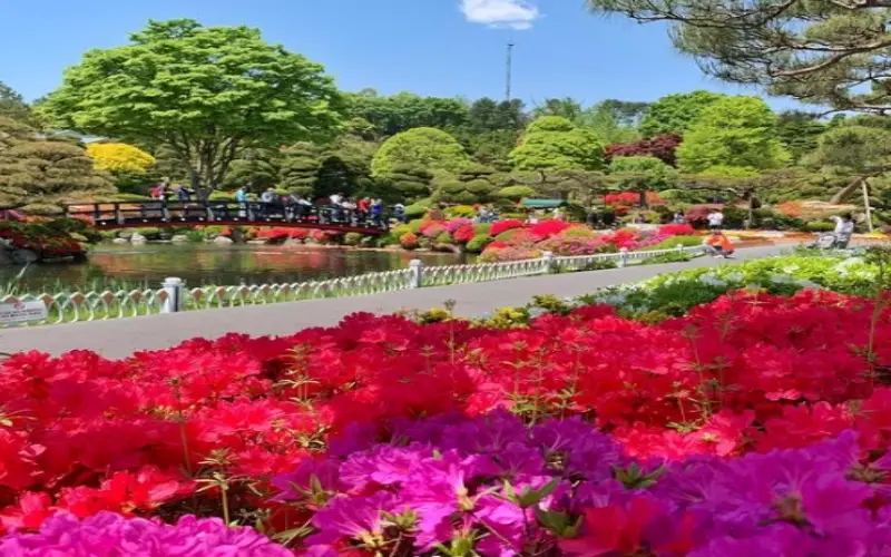 베어트리파크 철쭉축제 봄과 철쭉_7