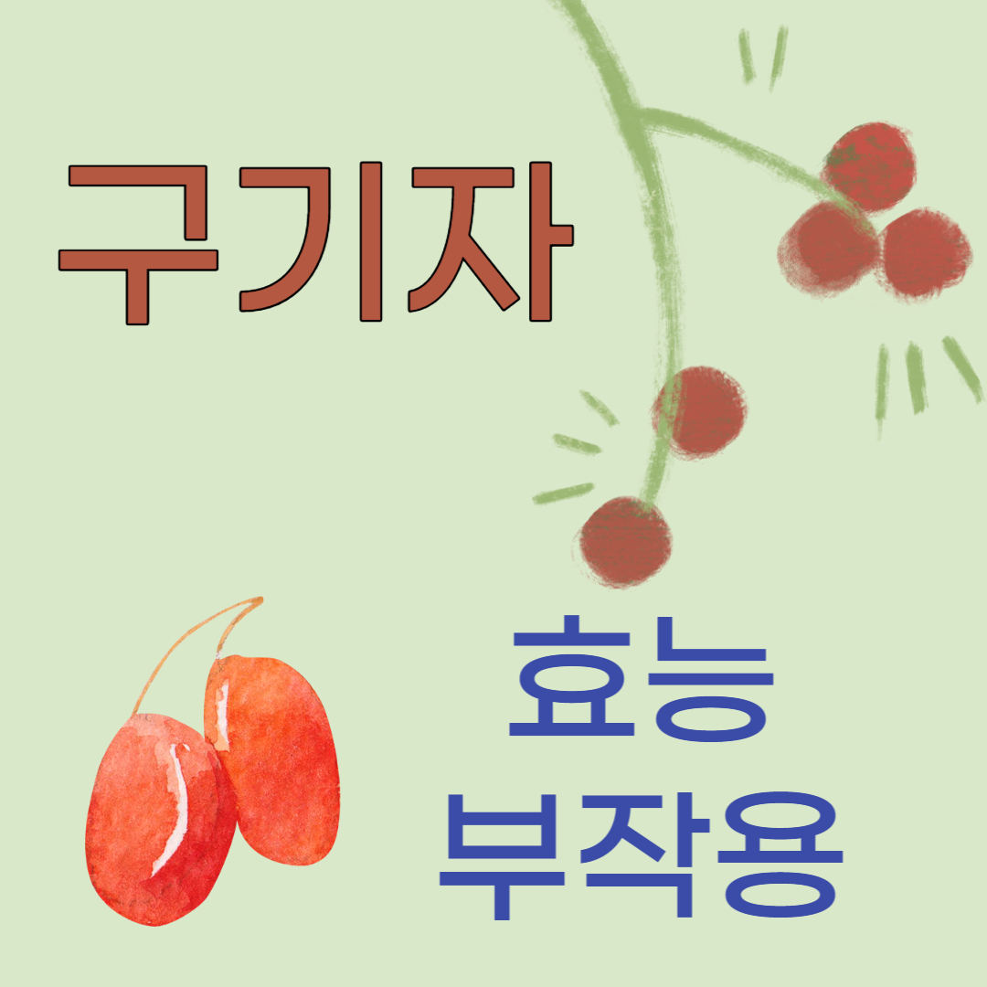구기자 효능 부작용