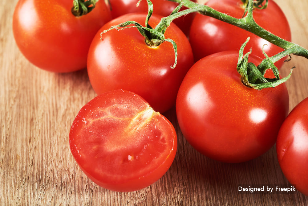 방울토마토 키우기