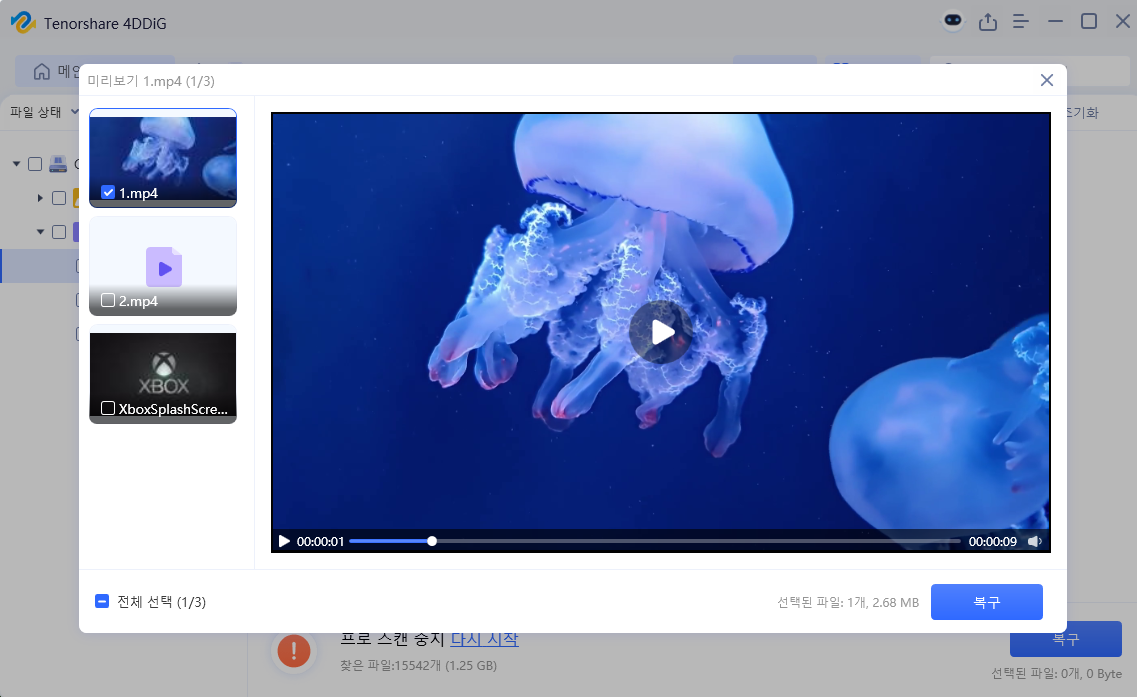 4DDiG 윈도우 복구 데이터 미리보기 이미지
