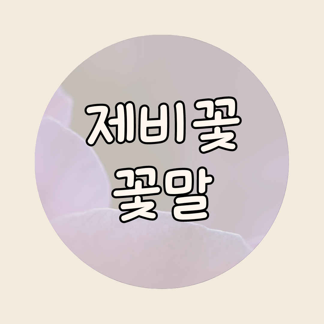제비꽃 꽃말