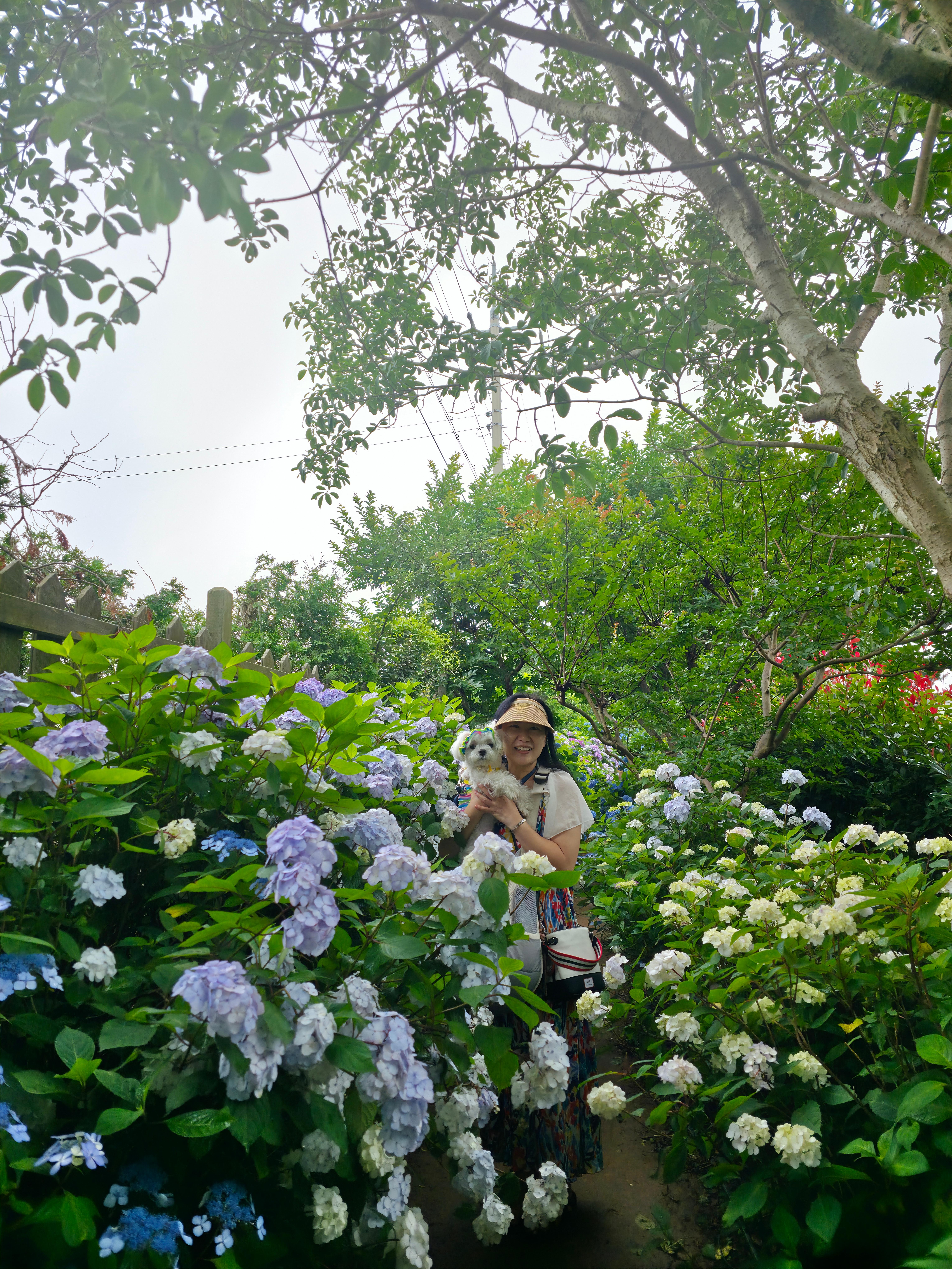 팜카밀레 허브농원에서 라떼와 찍은 사진