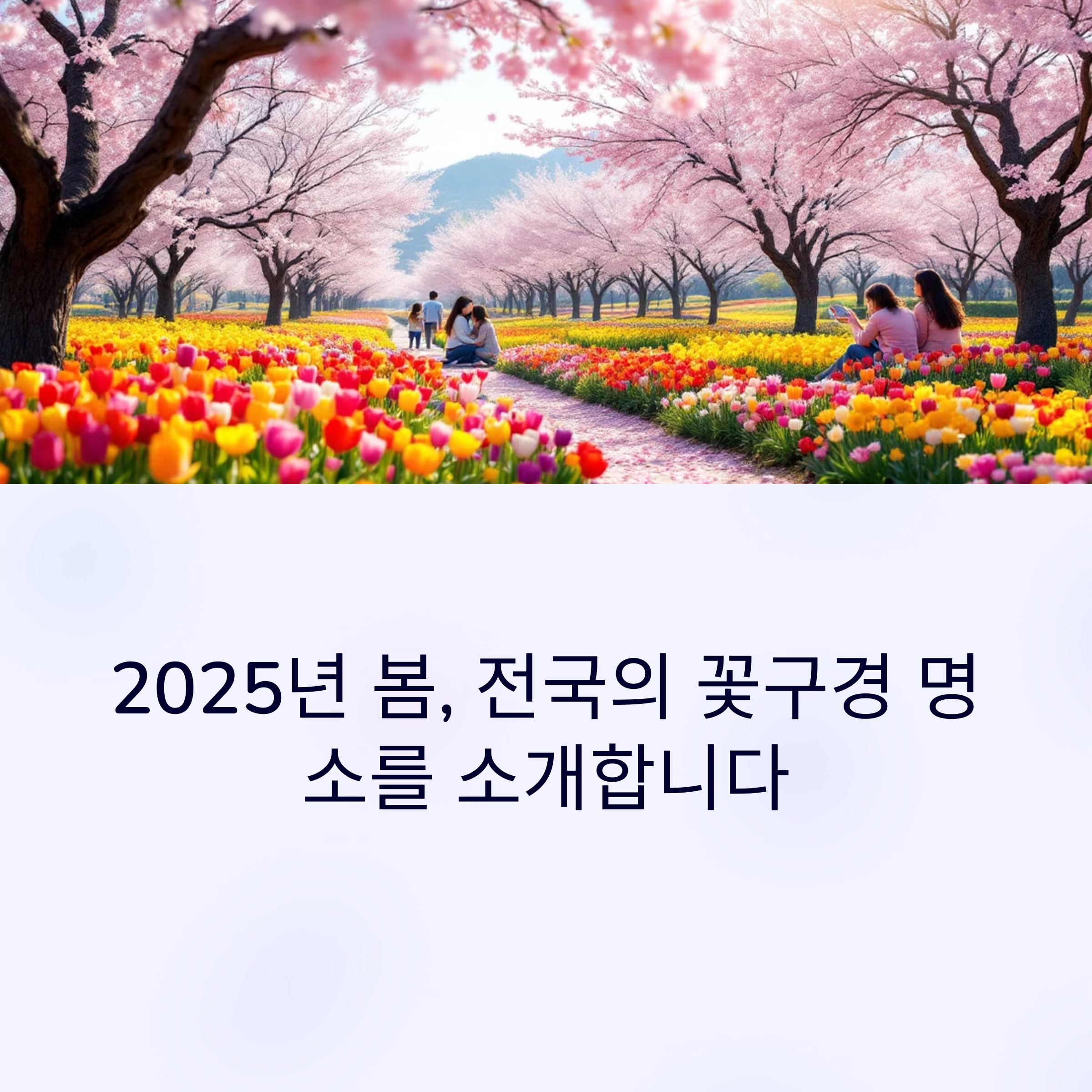 2025년 4월 가족과 함께 즐길 수 있는 주요 축제