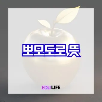 박토토 뜻 박충섭 시네마천국 뜻_6