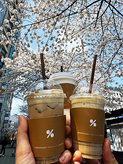 원두 종류 완전 정복: 아라비카 vs 로부스타 차이점