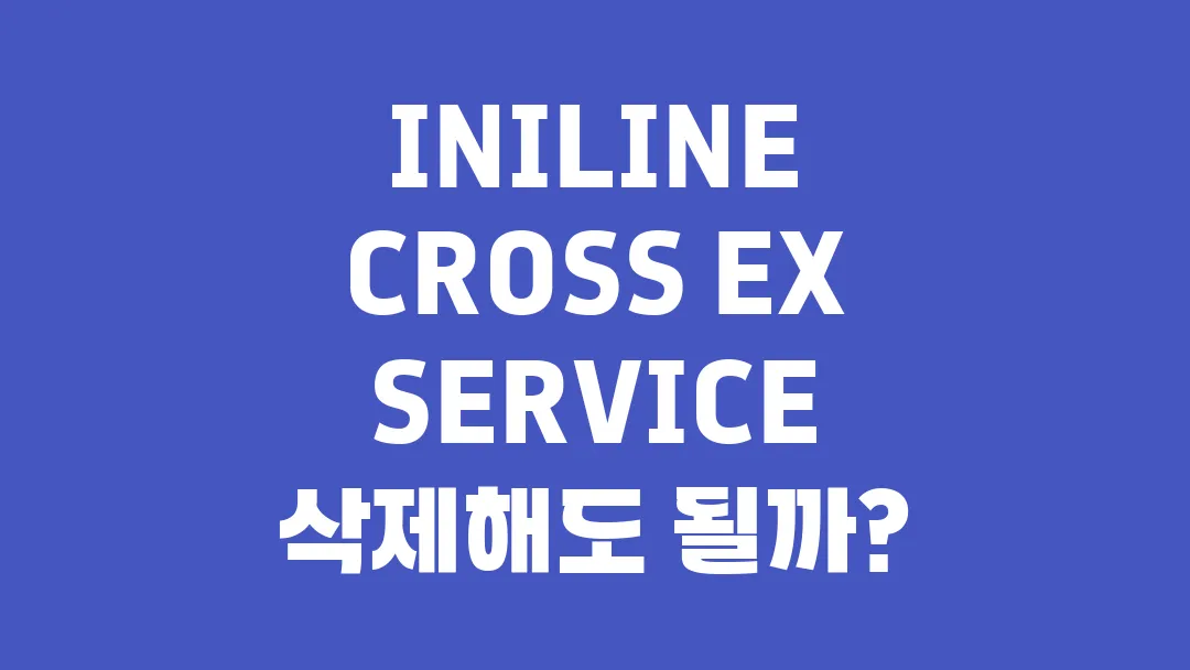 INILINE CROSS EX SERVICE 는 뭘까? 삭제해도 될까?