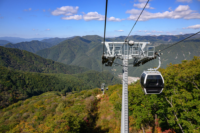 가리왕산 케이블카 예약 요금