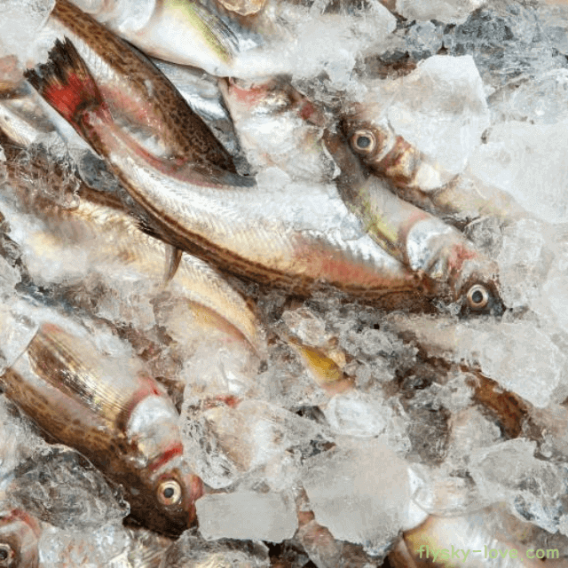 식감 좋고 영양 풍부한 제철 수산물 도루묵