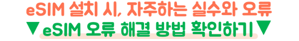 일본-eSIM-데이터-APN-오류-해결