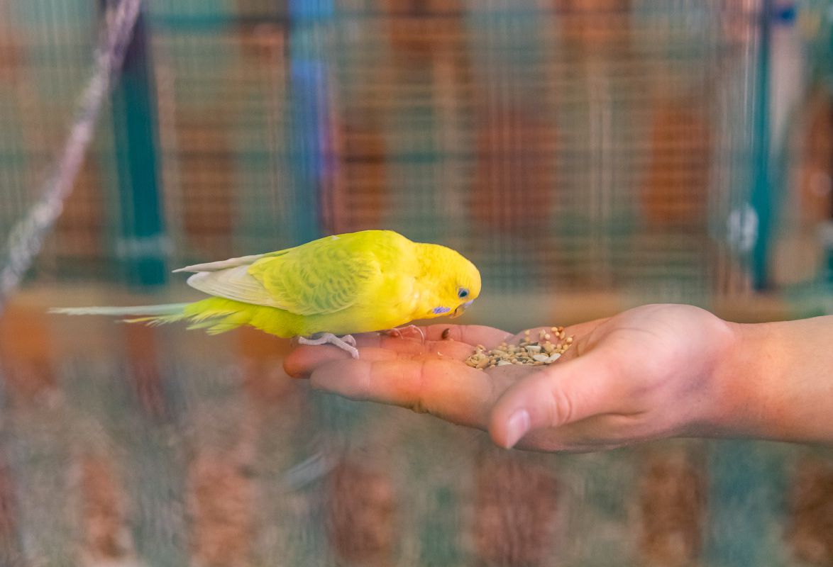 쥬라리움 파주점