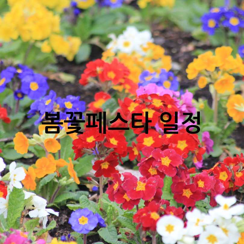 아침고요수목원 2025 봄꽃페스타
