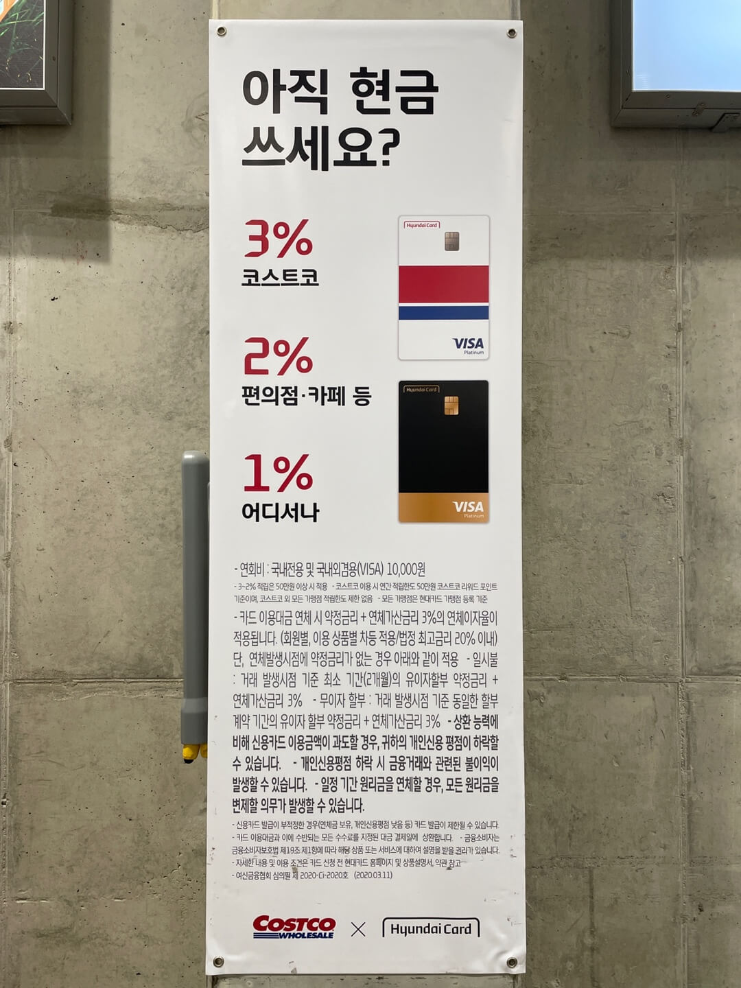 코스트코 회원권 현대카드