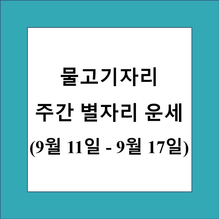 물고기자리 주간 별자리 운세 제목 상자