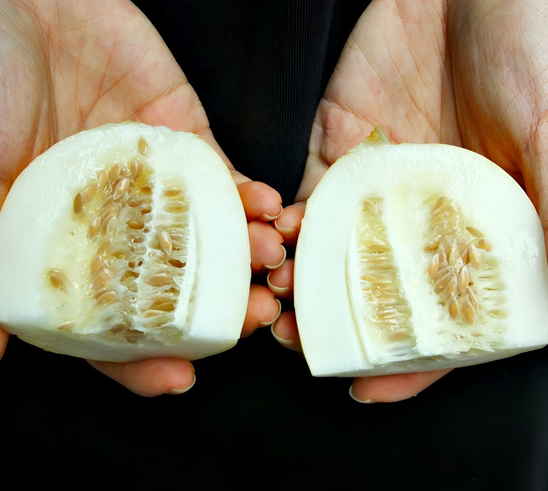 손에 든 반으로 자른 참외 두 조각의 단면과 가운데 씨 부분이 보이는 모습