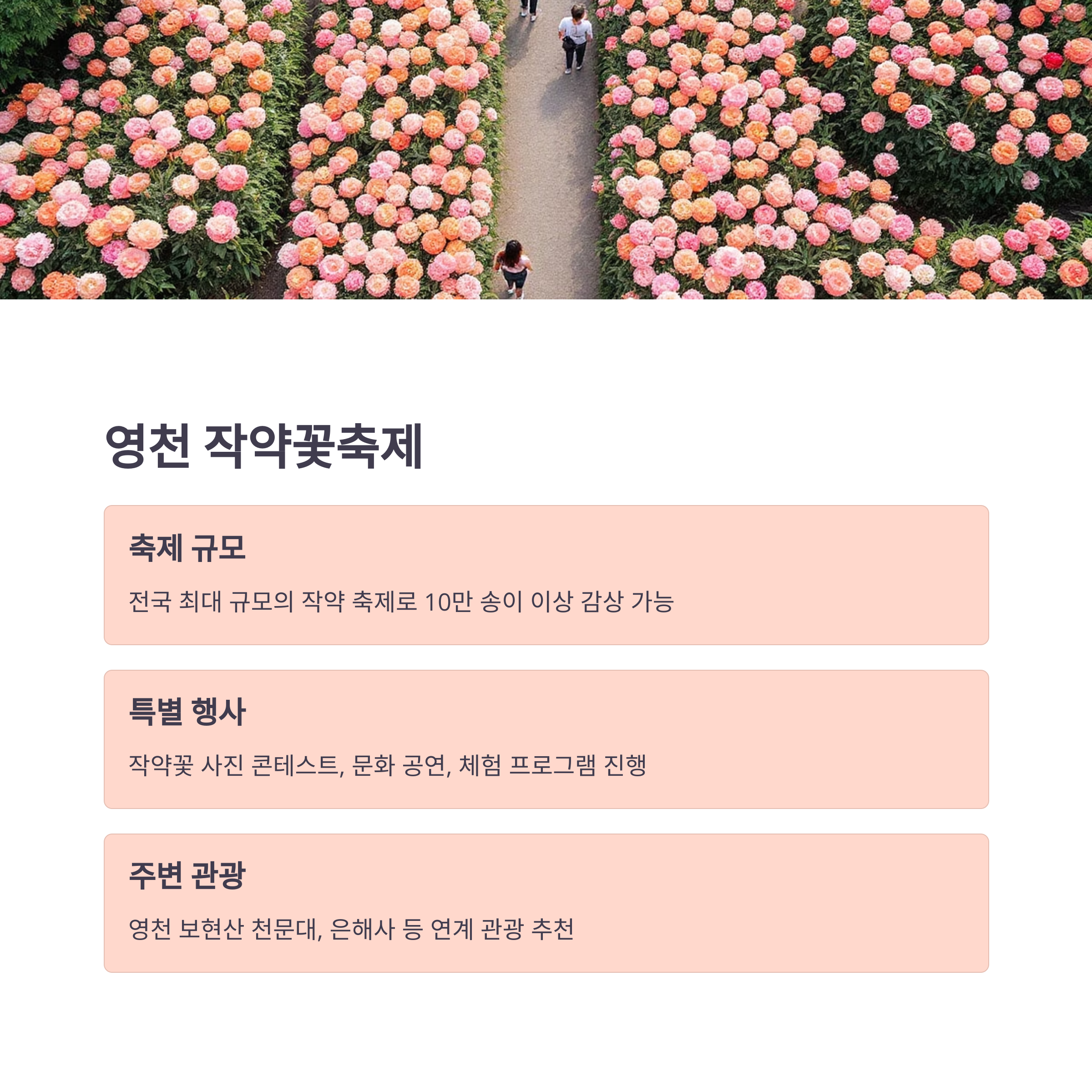 2025년 5월, 전국 작약꽃 축제 총정리