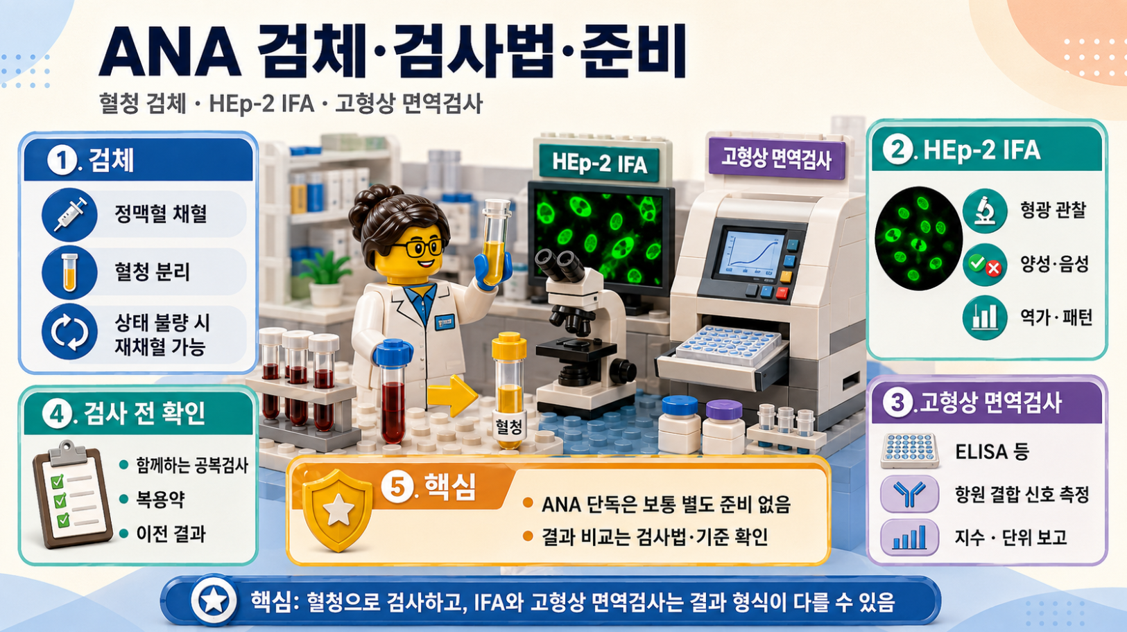 ANA 검체·검사법·검사 전 준비: 혈청 검체와 HEp-2 IFA, 고형상 면역검사 및 준비사항을 정리한 레고 스타일 메디컬 인포그래픽