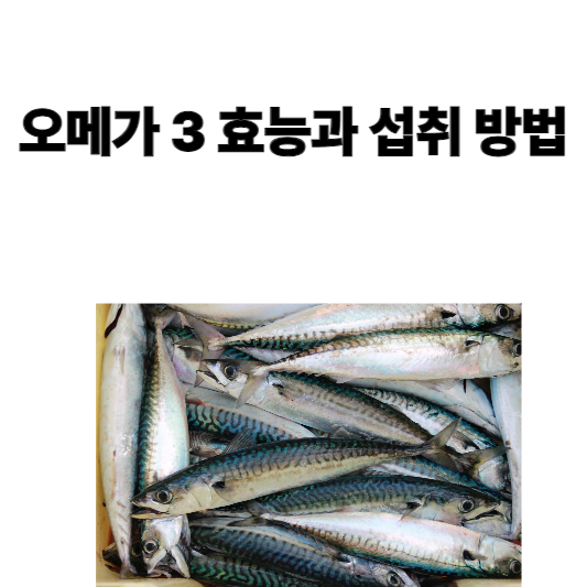 오메가 3 효능과 섭취 방법