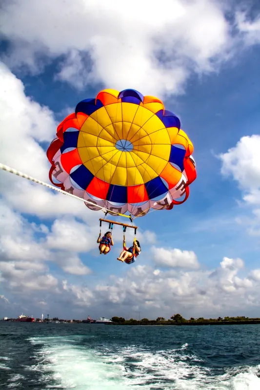패러세일링 사진
