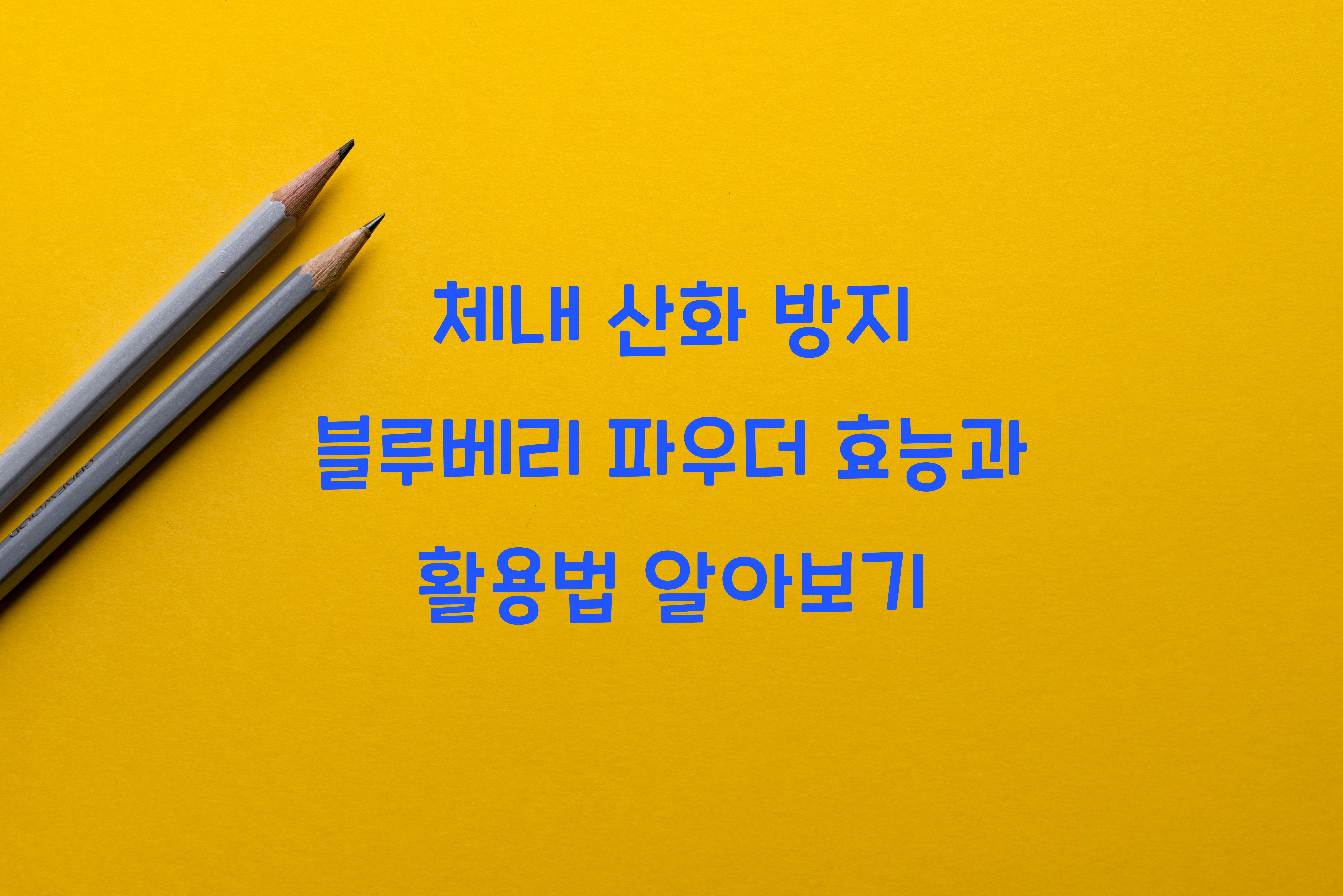 체내 산화 방지 블루베리 파우더