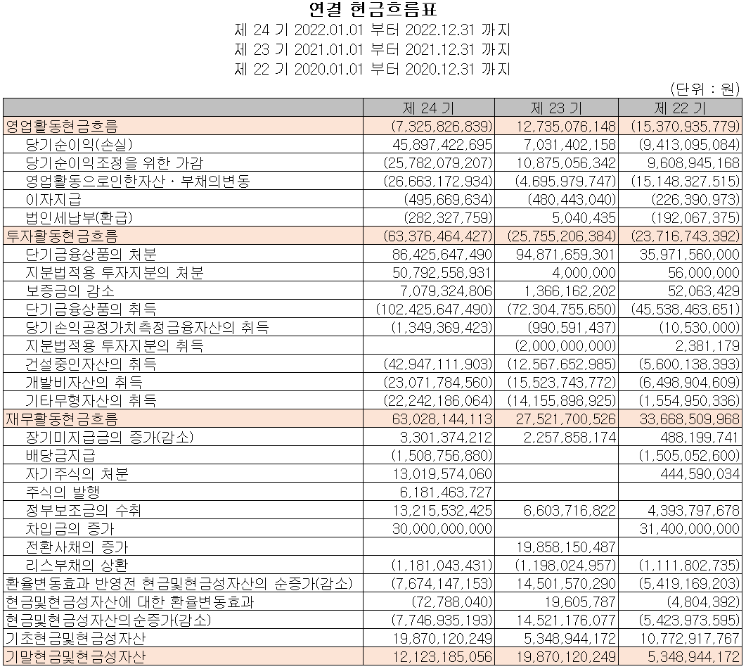 텔레칩스 - 현금흐름표