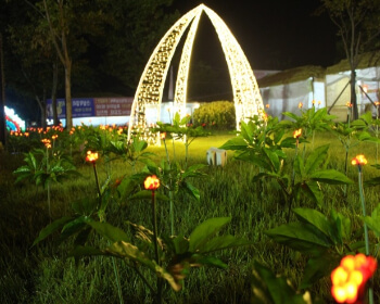 함양산삼축제_27