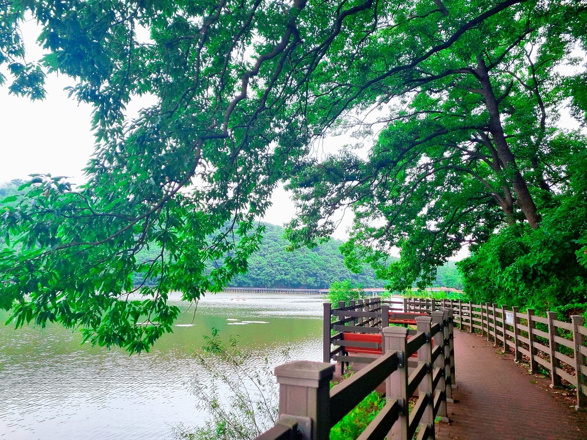 경기도 파주 대형 베이커리 카페, 공릉 저수지 뷰 모쿠슈라 (2호점)