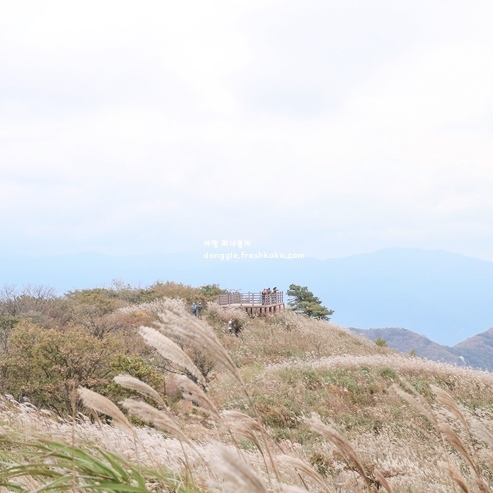 장수 가볼만한곳 베스트10