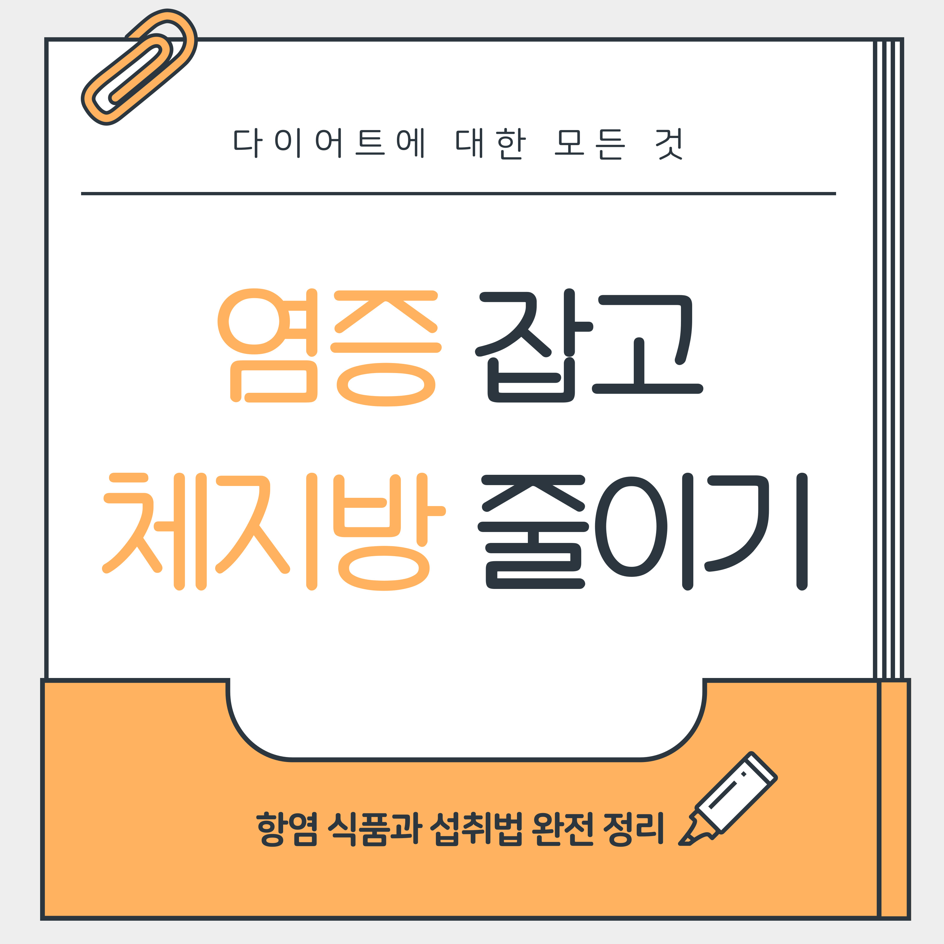 책 모양의 디자인 위에 &ldquo;염증 잡고 체지방 줄이기&rdquo;라는 문구가 큼직하게 적혀 있으며, 상단에는 &ldquo;다이어트에 대한 모든 것&rdquo;, 하단에는 &ldquo;항염 식품과 섭취법 완전 정리&rdquo;라는 보조 문구가 쓰여 있다. 항염 식단을 통한 다이어트 정보를 소개하는 썸네일 이미지