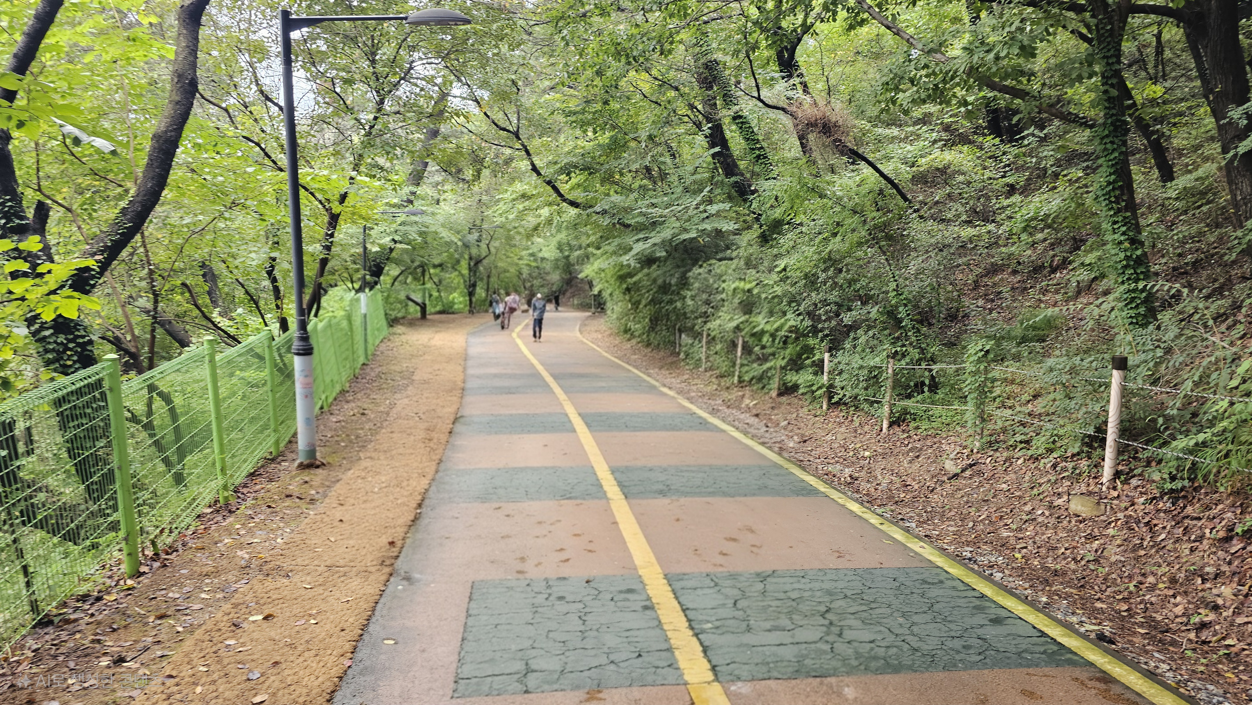 도보의 경우 경사로와 나무데크길이 잘 정비되어 있어