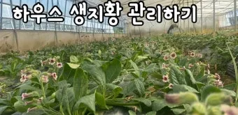 하우스 재배 물관리 점적관수 타이머 EC pH 양액 관리_19
