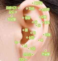 귀 혈자리 위치 지압법