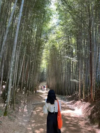 담양 죽녹원 소아르호텔 숙박 맛집_23