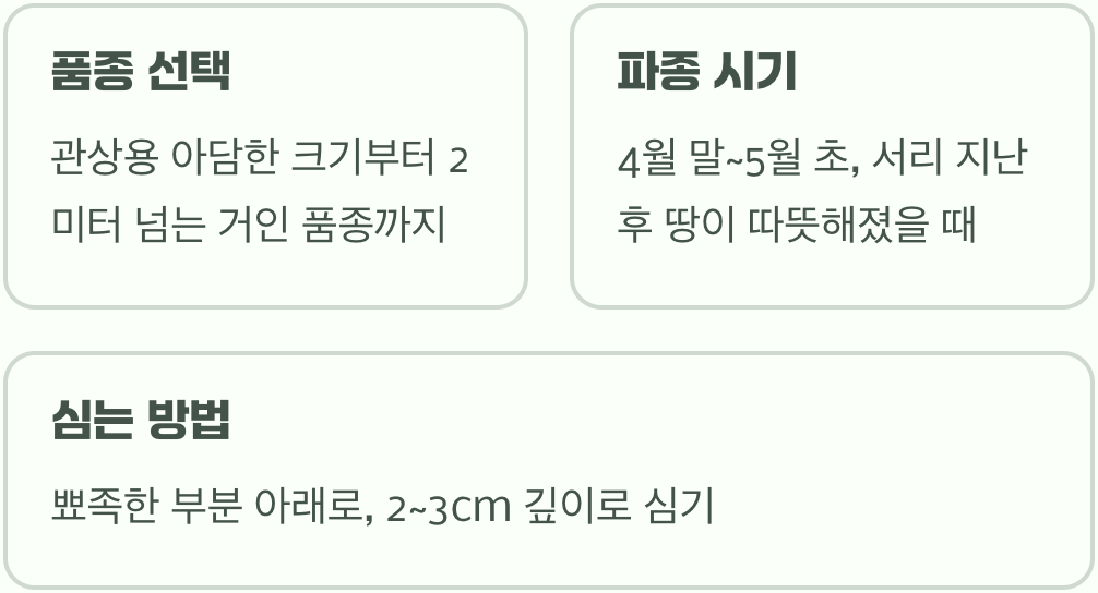 작은 씨앗, 위대한 시작