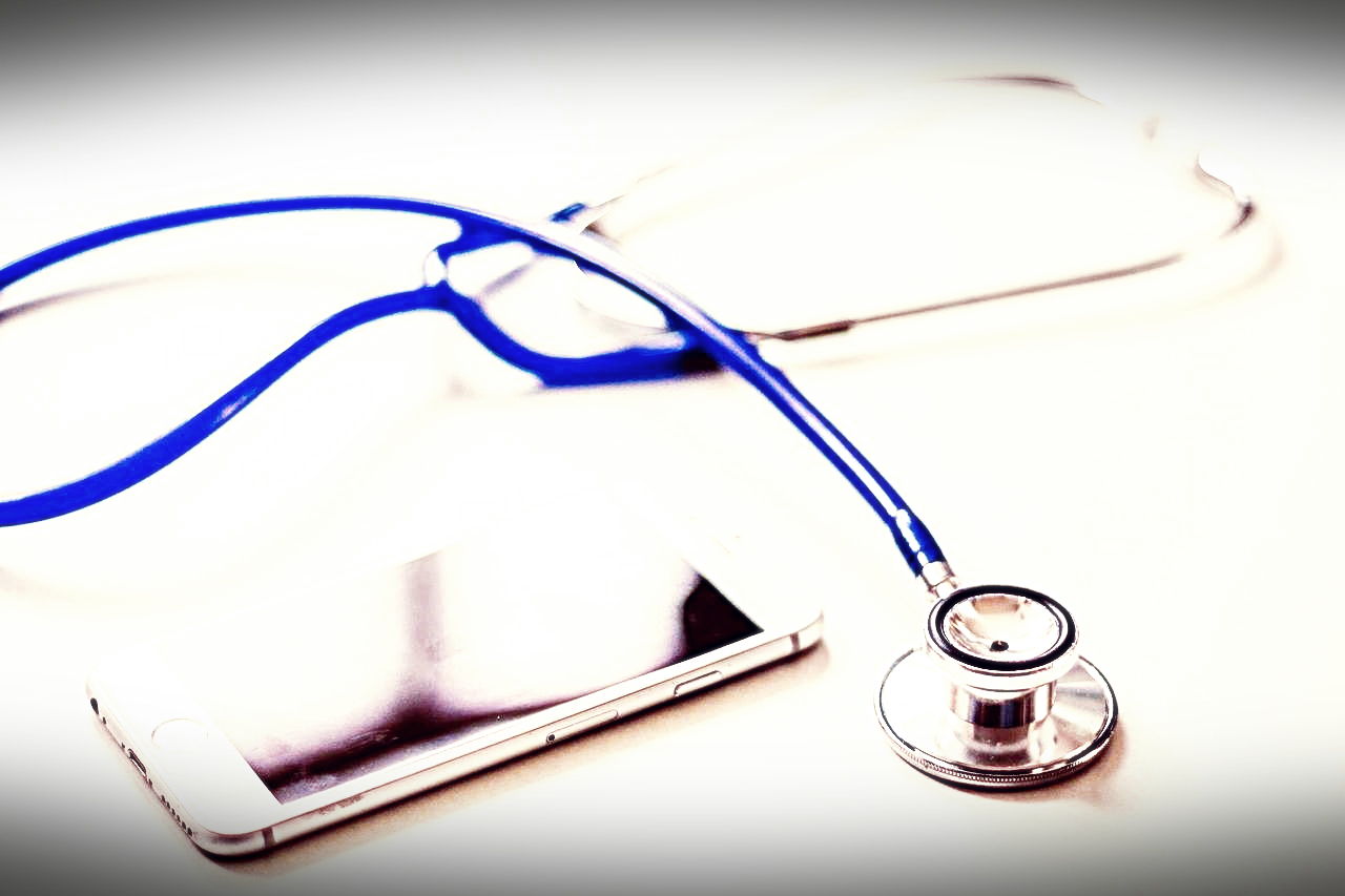 빈대의 문제점2