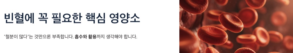 빈혈에 좋은 음식 핵심 영양소