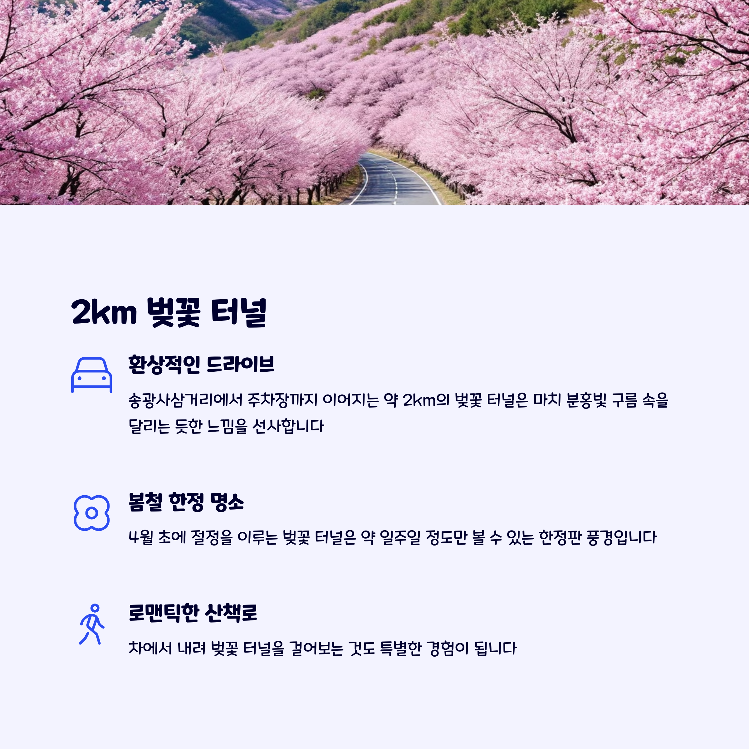 벛꽃터널