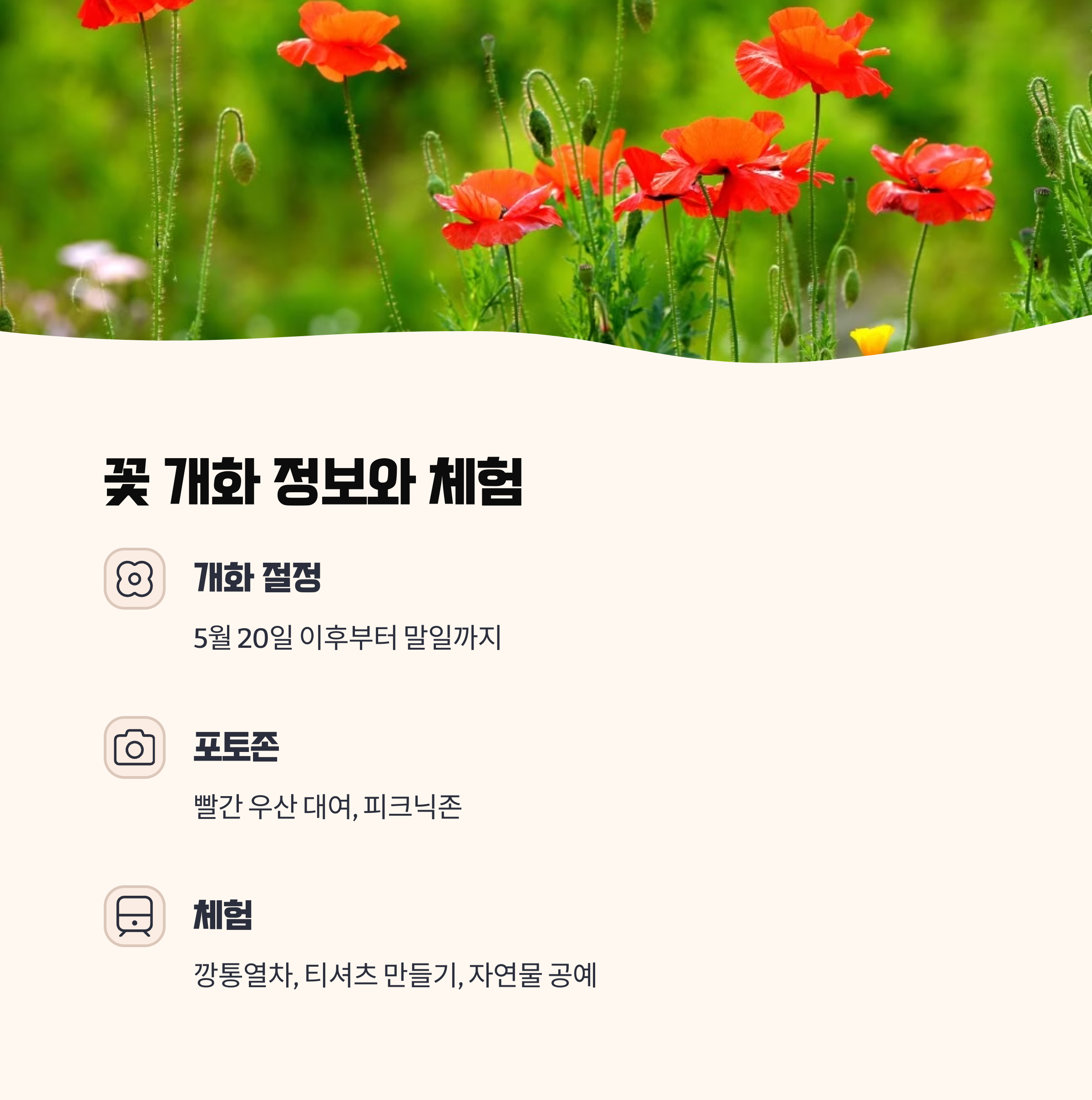 꽃 개화 정보와 추천 체험