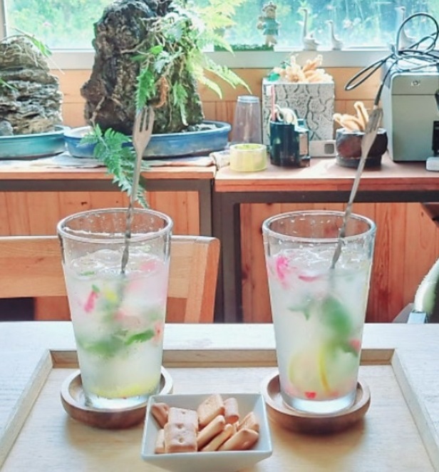 한국인의밥상-화순-허브정원-치유정원-카페