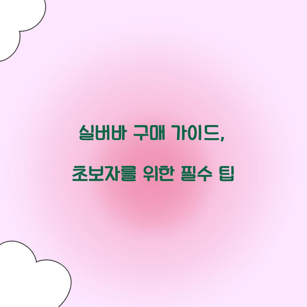 실버바 구매