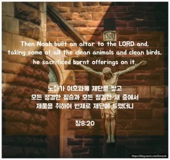 창세기 8장 홍수 후 새로운 시작을 위한 감사의 묵상과 기도_14