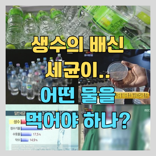 생수, 정수, 수돗물 중 건강에 좋은 물 vs 나쁜물 - 생수가 수돗물보다 세균이 많다 (2024최신 비교 조사 연구결과) 썸네일