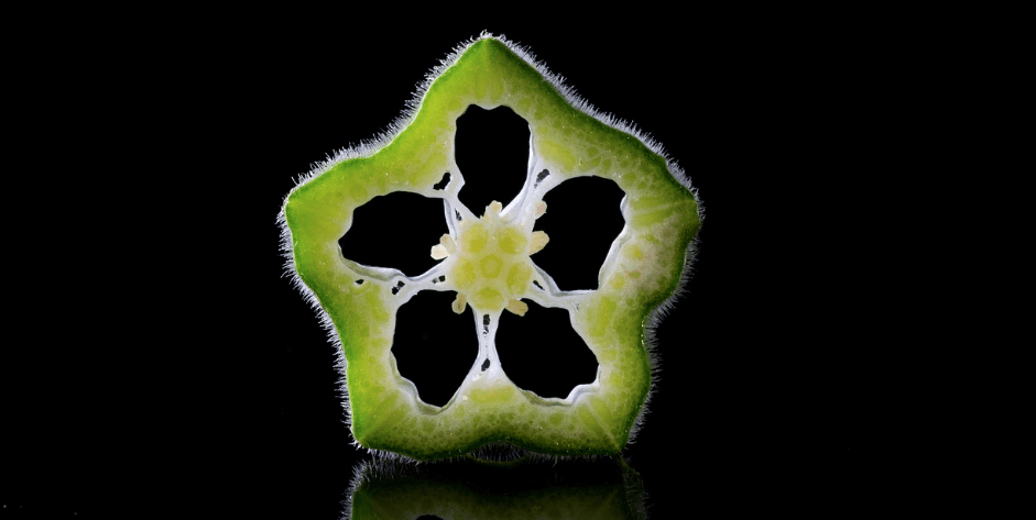 오크라 사진 - 1