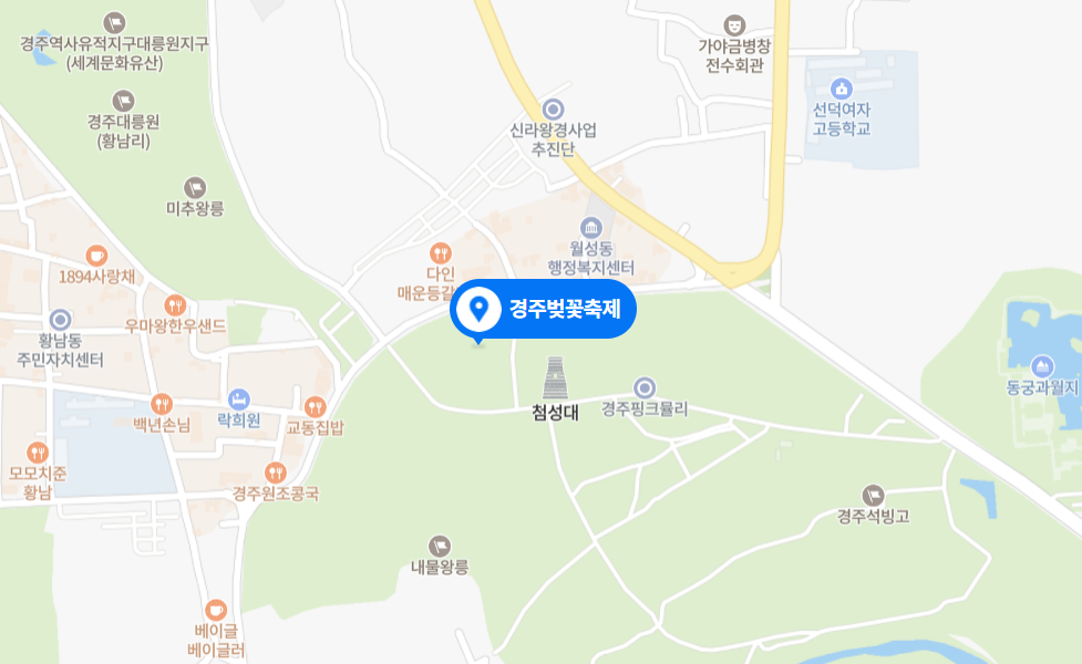 경주 대릉원돌담길 벚꽃 축제