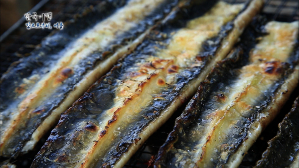 갯장어가 몸에 좋은 이유