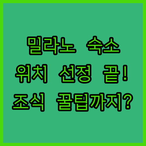 밀라노 숙소 예약 전 확인해야 할 위..