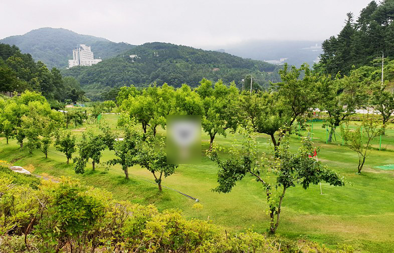 경기도 가평 청심빌리지 실버타운 파크골프장