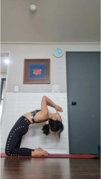 메를로퐁티 지각현상 3가지 예시와 현상학적 해석_15