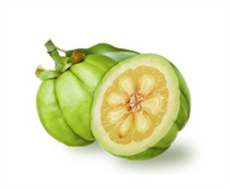 가르시니아 캄보지아